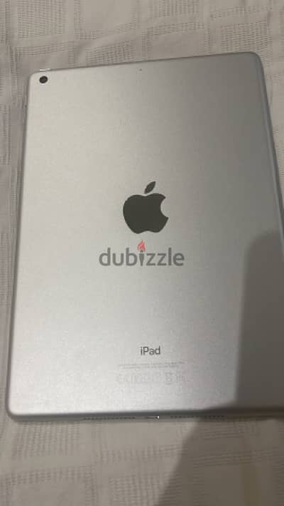 apple (5)
