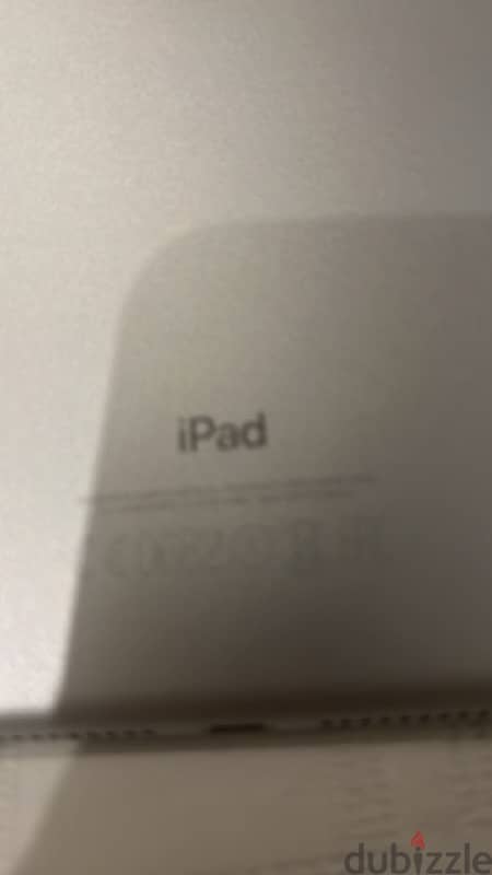 apple (5) 1