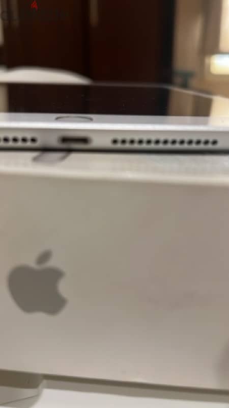 apple (5) 2