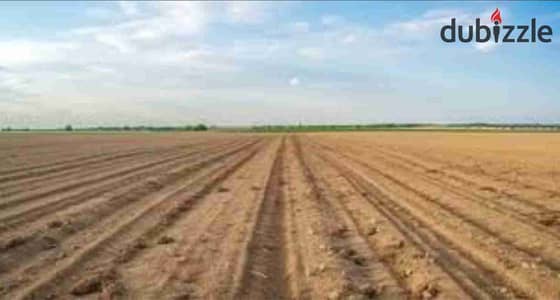 Opportunity for senior developers land 60 acres in media professionals
