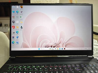 MSI ge75 Raider 9SE Gaming laptop