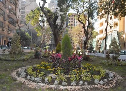 Luxurious apartment in Dokki