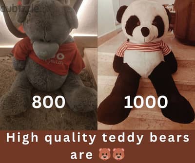 High quality Teddy bears Biggest in size