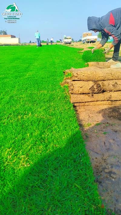 نجيل طبيعي وأشجار زينه وأعمال لاندسكيب