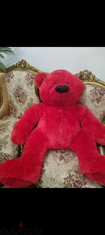 دب احمر كبير