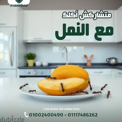 مكافحة شامله لجميع انواع الحشرات الزاحفه والطائره والقوارض