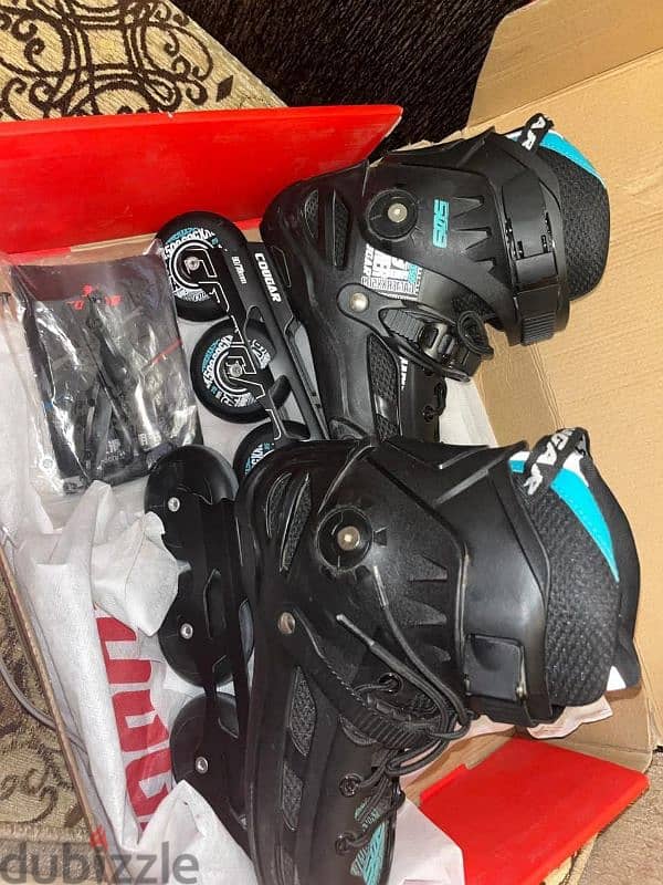 skate 1