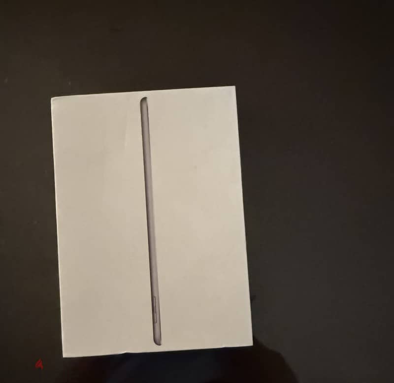 iPad 5th Generation 3
