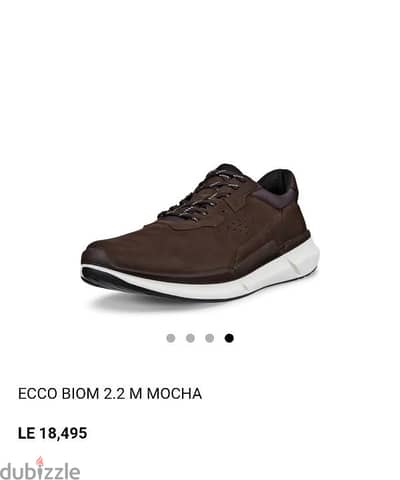 Ecco Biom 2.2 New Shoes