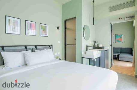 Luxury Fully Furnished Apartment For Rent In downtown - Only LE 2400 per night.