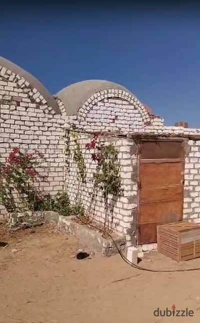 مزرعة للبيع في الاسماعيلية مساحة 1000 م