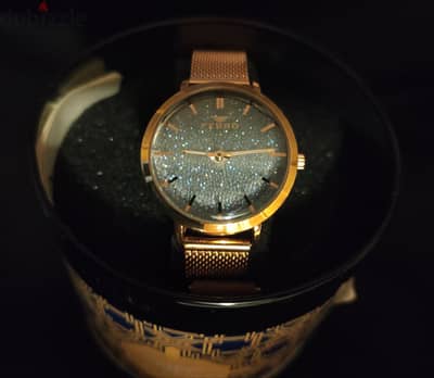 ساعات حريمي Ferro - F21195B-S جديده