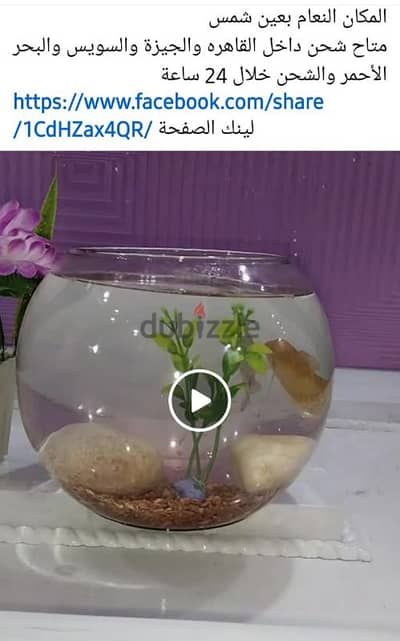 بلورة ديكور بالسمك