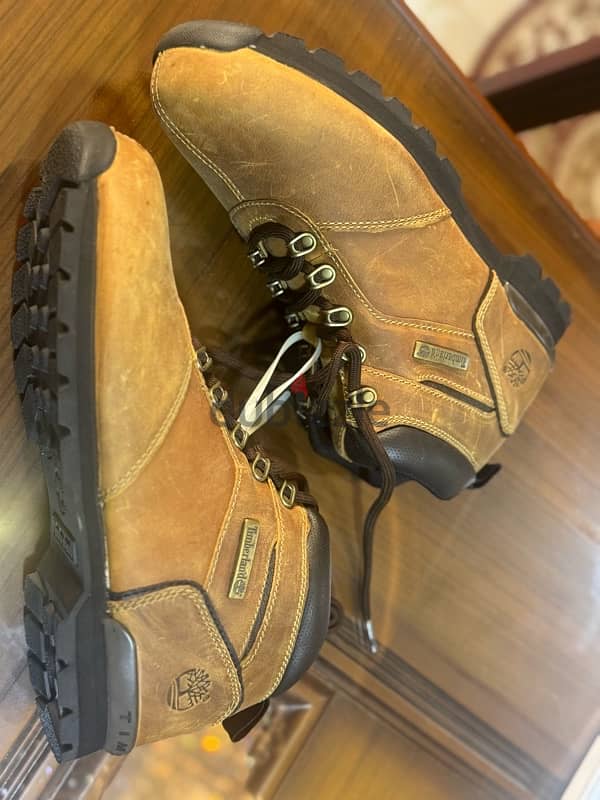 Timberland 5