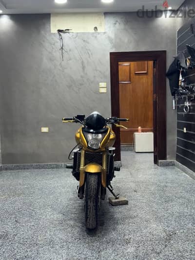 Honda hornet