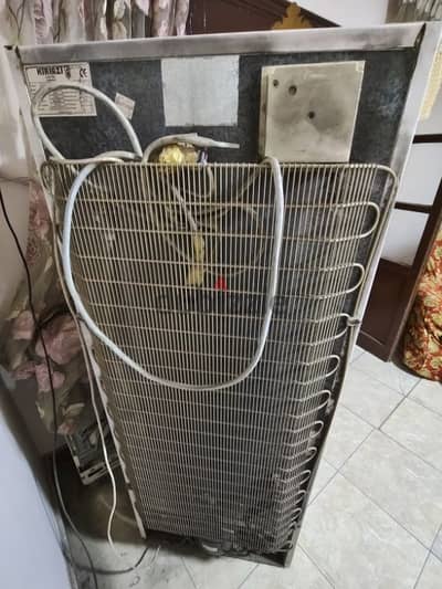 Freezer Kiriazi