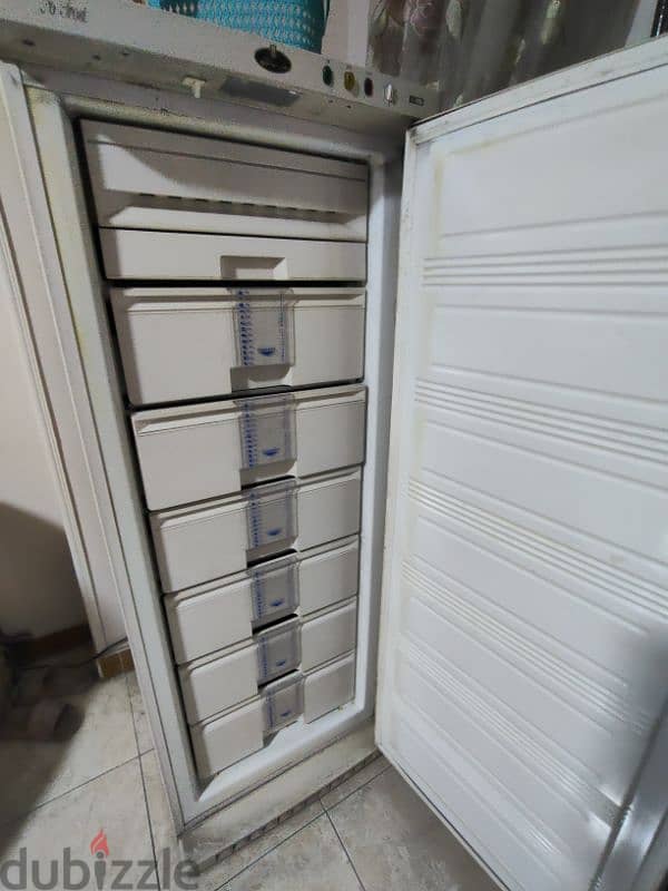 Freezer Kiriazi 1
