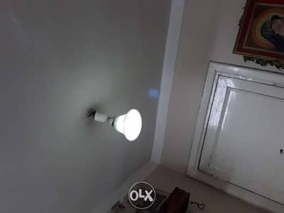 نجفه م
