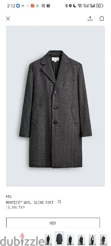 Zara Coat