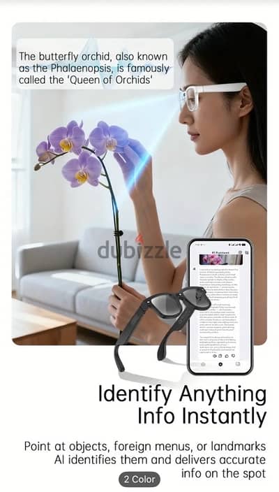 smart AI glasses