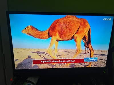 شاشه تلفزيون توشيبا 32 بوصة ممتازة بدون اي عيوب