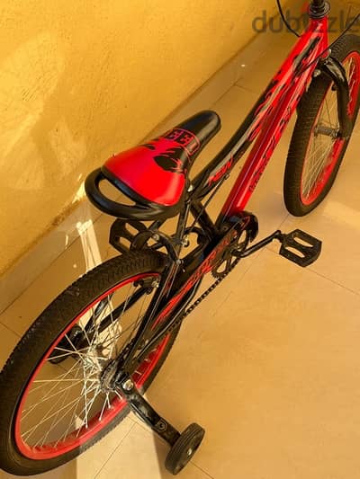 Bicycle Size 20