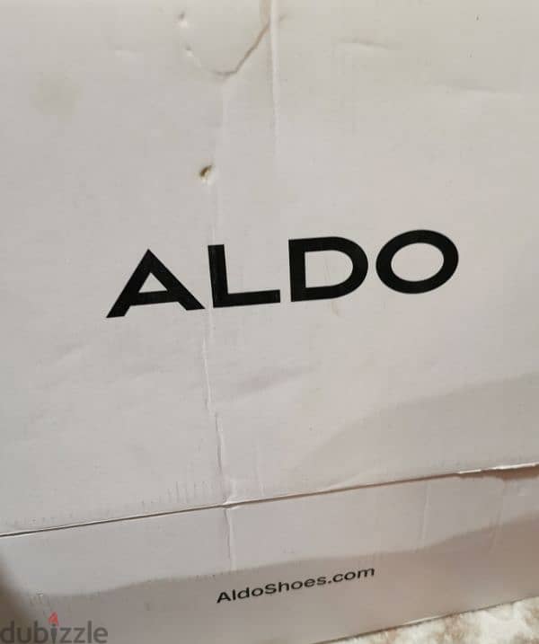 Aldo shoes 5