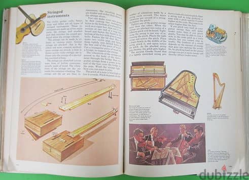 The Hamlyn Junior Science Encyclopedia 6