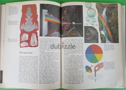 The Hamlyn Junior Science Encyclopedia 7