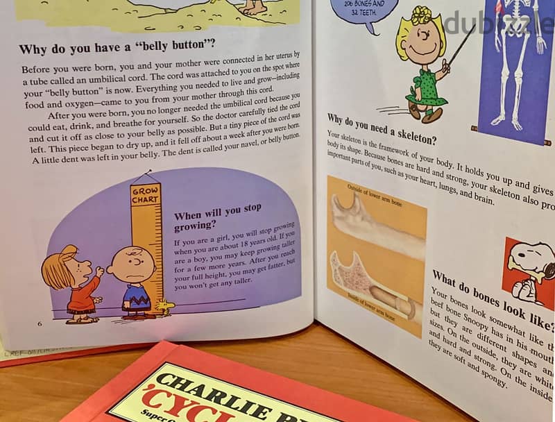 Charlie Brown's Cyclopedia 5