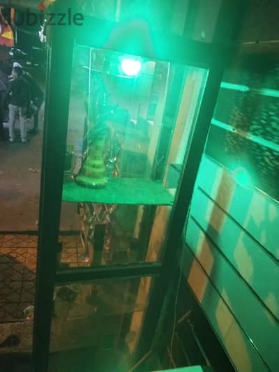 حجر الناوتيه الرمل الاسكندريه