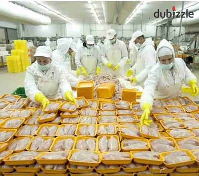 مصنع غذائى للايجار بالعاشر من رمضان