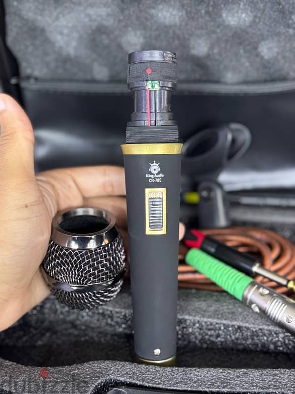 wired mic 2