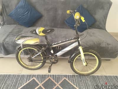bicycle for kids