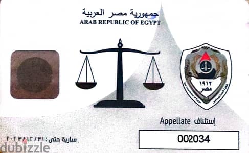 خدمات تأسيس شركات وعقود ودعاوى عمالية ودعاوى أسرة وجنايات وجنح بالعجمى