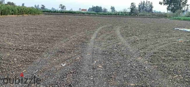 Free land rent 900 mtr all details whatsup 01062124366