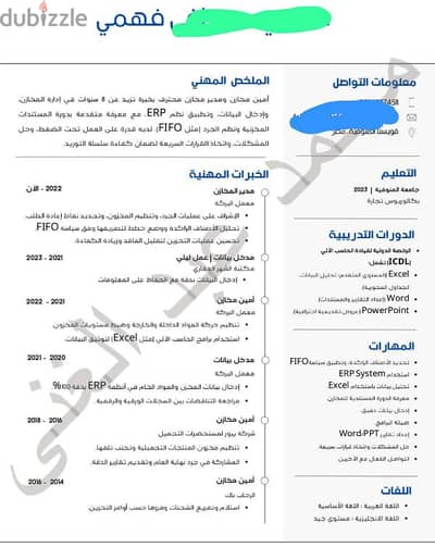 Professional CV Writing | كتابة CV احترافية