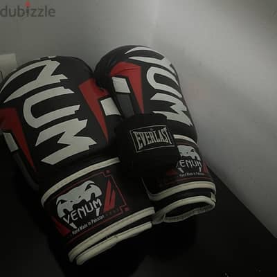 Venom Boxing gloves