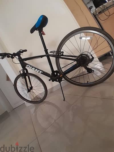 Escaper Jr24  One Size