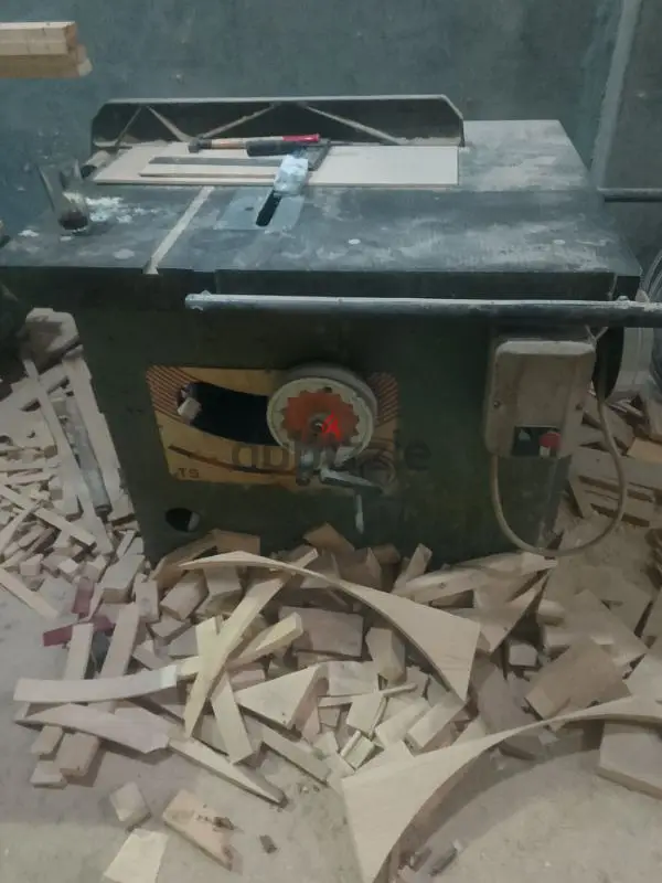 العصافره إسكندريه
