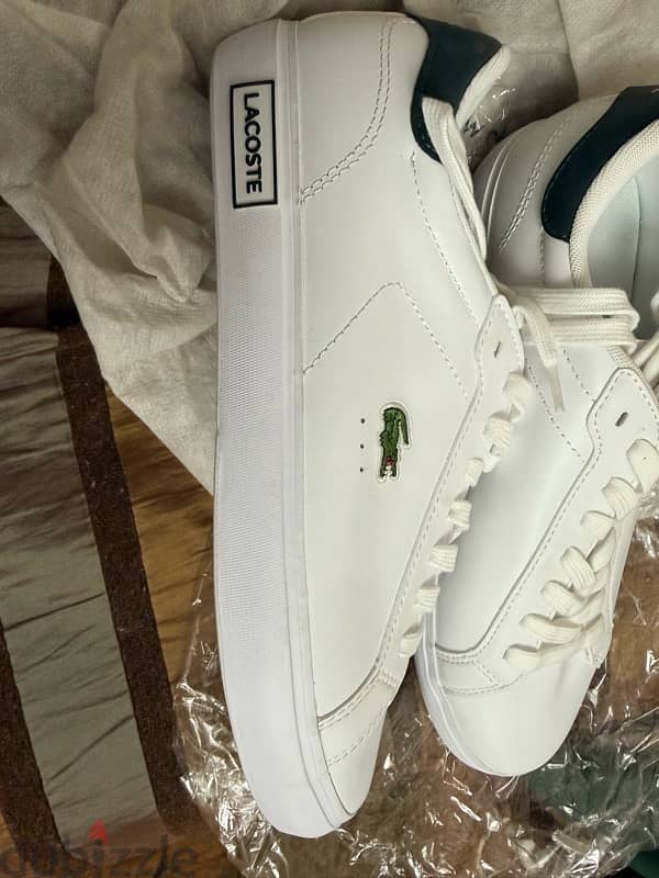 Lacoste Shoes 3