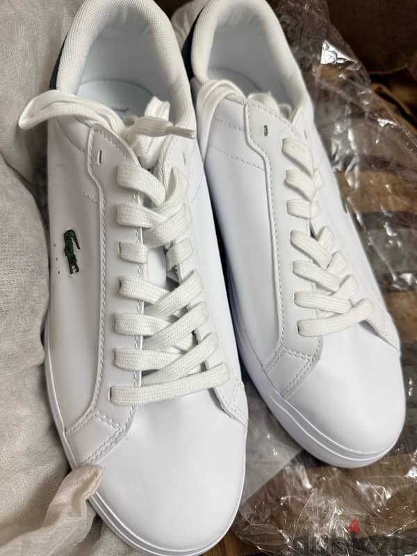 Lacoste Shoes 4