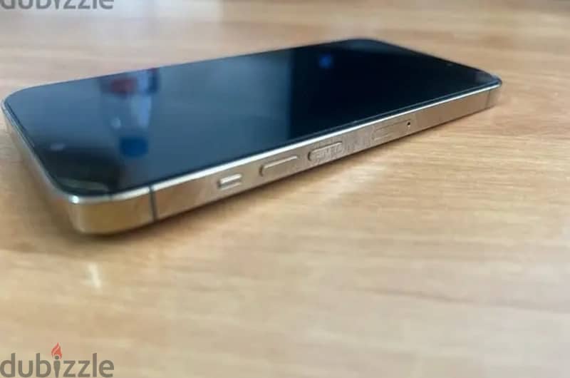 13 pro 4