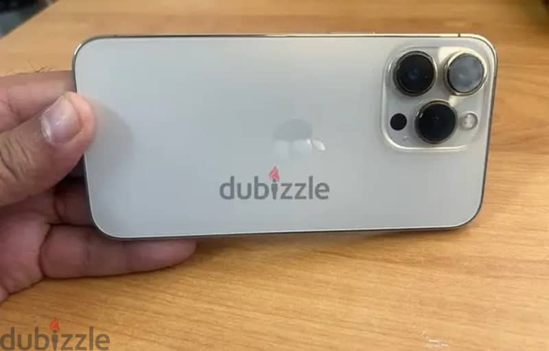 13 pro 6