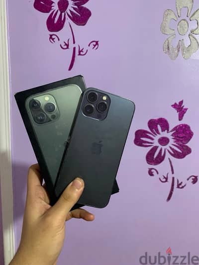 13 Pro Max in Alexandria, Classifieds in Alexandria | dubizzle Egypt (OLX)