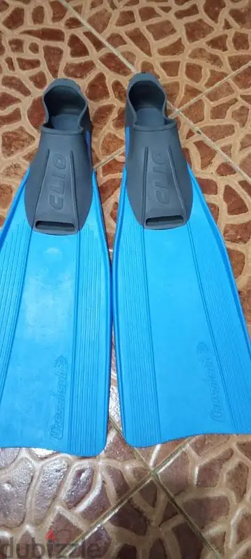 Fins