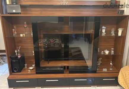 TV unit