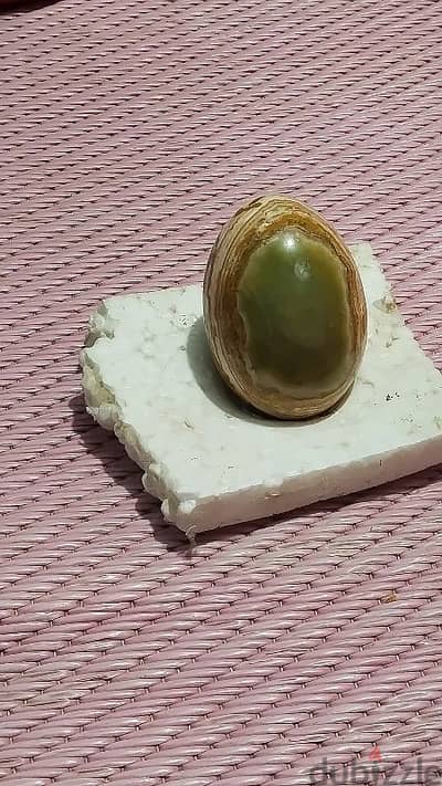 المنوفيه