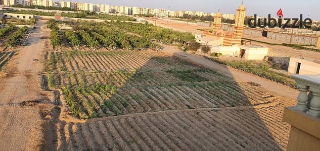 مزرعة ٥ فدان مزروعة و بها فيلا حمام سباحة على ١٥ دقيقة من القاهرة