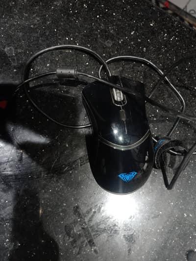 Mouse aula